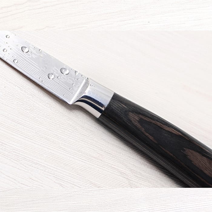Stainless Steel 3.5 Inch Paring Kitchen Knife Stainless Steel 3.5" Fruit Knife