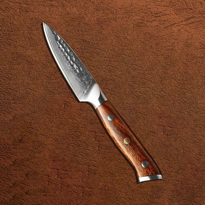 DSKK B13D Professional Kitchen Damascus Knife set with Desert Iron Wood Handle