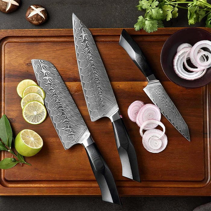 Professional 67 Layers Damascus Steel 3Pcs Knife Set With G10 handle