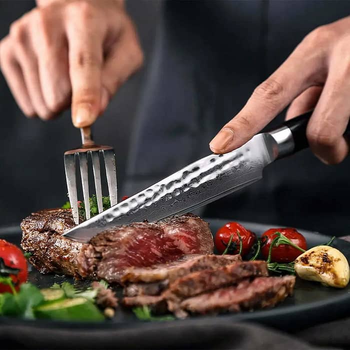 67 layers Damascus Steel Steak Knife with Pakka Wood Handle