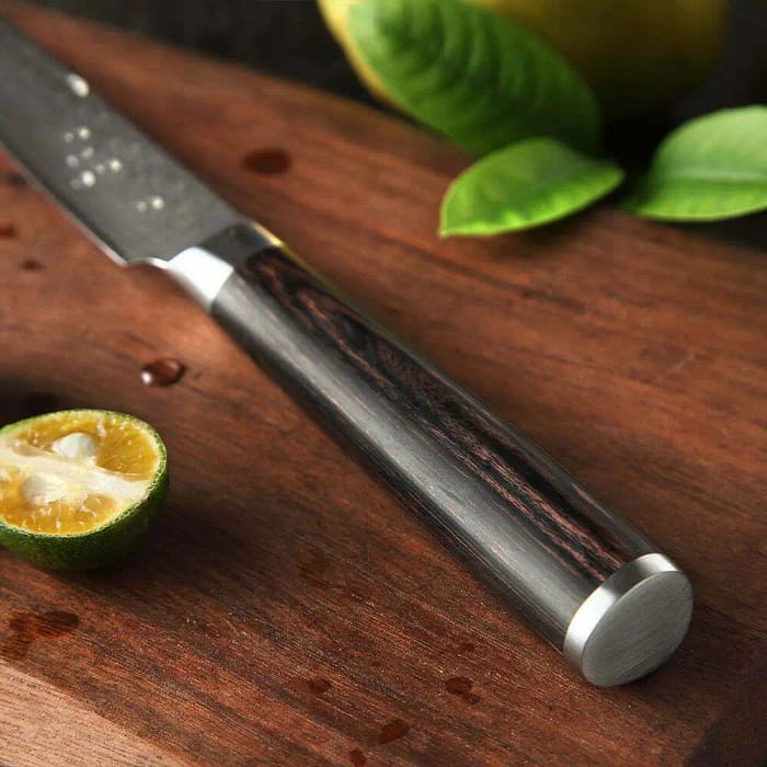 Super Sharp 67 layers Damascus Steel Utility Knife with Pakka Wood Handle