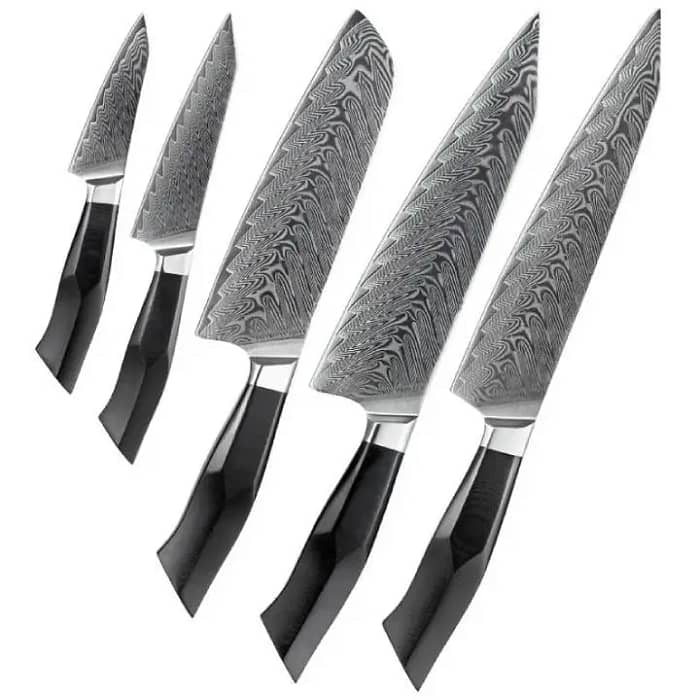 Damascus Professional 5 PCS Chef Knife Set with Premium G10 Handle