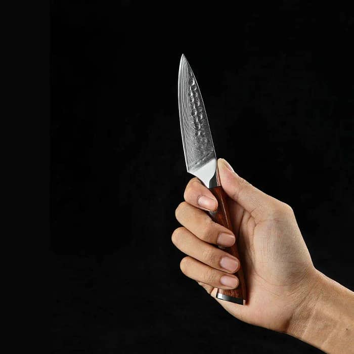 Damascus DSKK B13D Professional Kitchen Chef Knife with Desert Iron Wood Handle