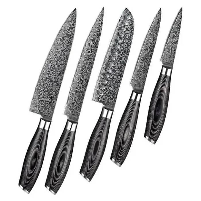 Damascus 5 PCS Kitchen Chef Knife Set with Pakka Wood Handle