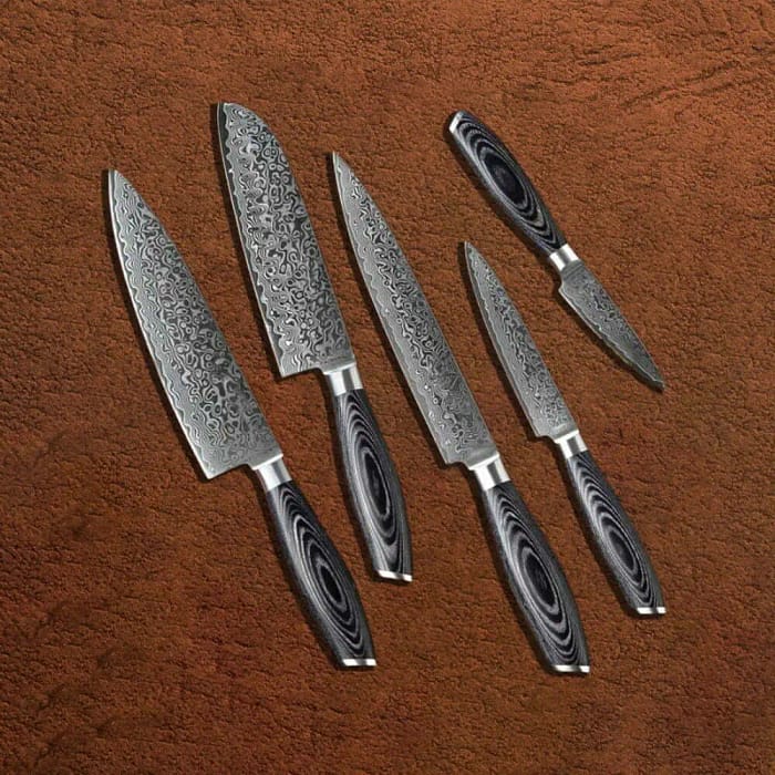 Damascus 5 PCS Kitchen Chef Knife Set with Pakka Wood Handle