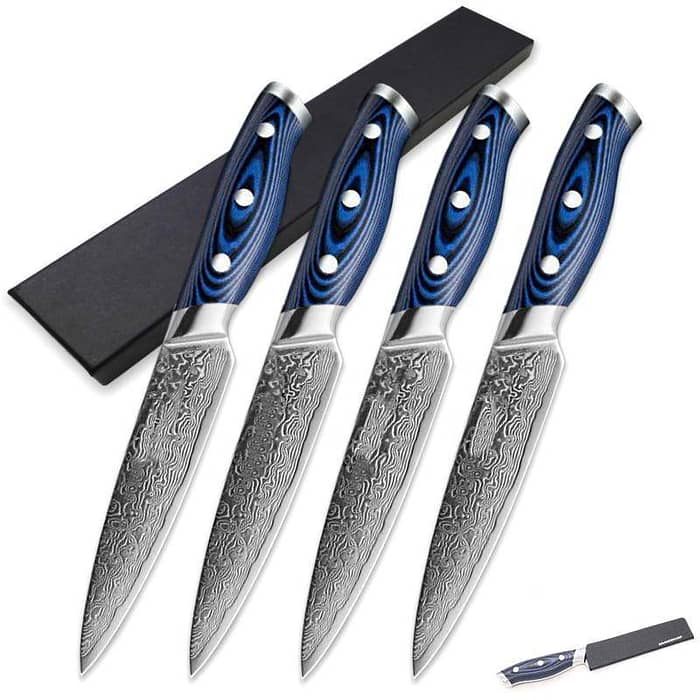 Stainless Steel Steak Knife 4 pcs Sets Damascus – 67 Layers