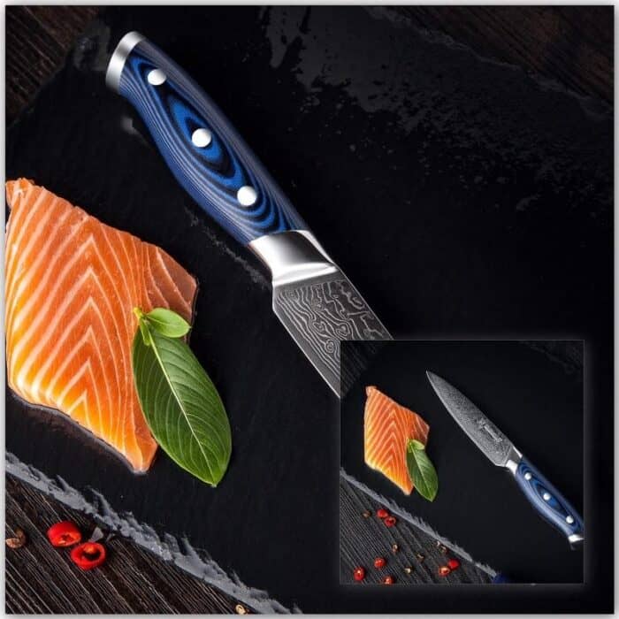 Stainless Steel Steak Knife 4 pcs Sets Damascus – 67 Layers